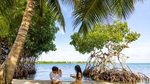 Escena de playa con un hombre y una mujer sentados en la arena, una palmera y un manglar.