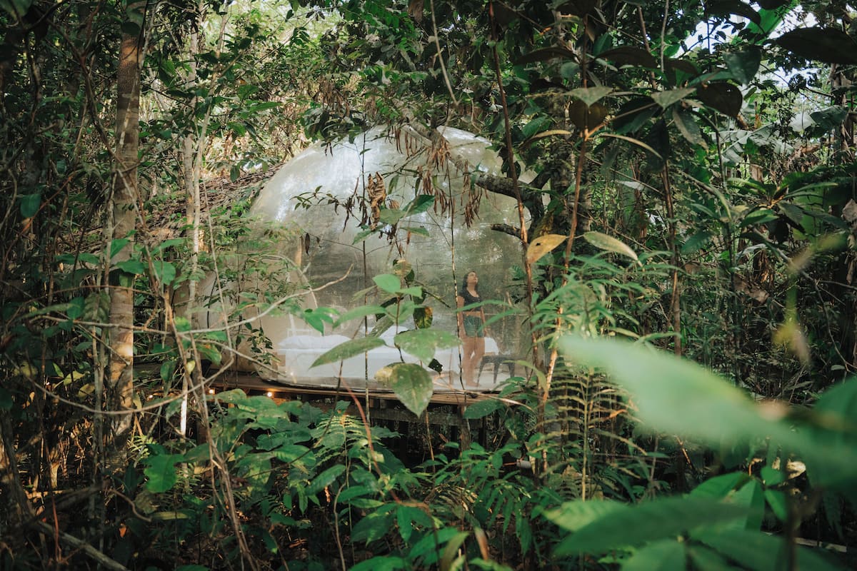 A glass-enclosed structure surrounded by dense foliage, with a wooden deck and a small waterfall feature.