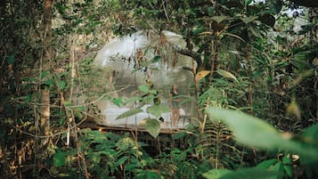 Panoramic Room | Bed sheets