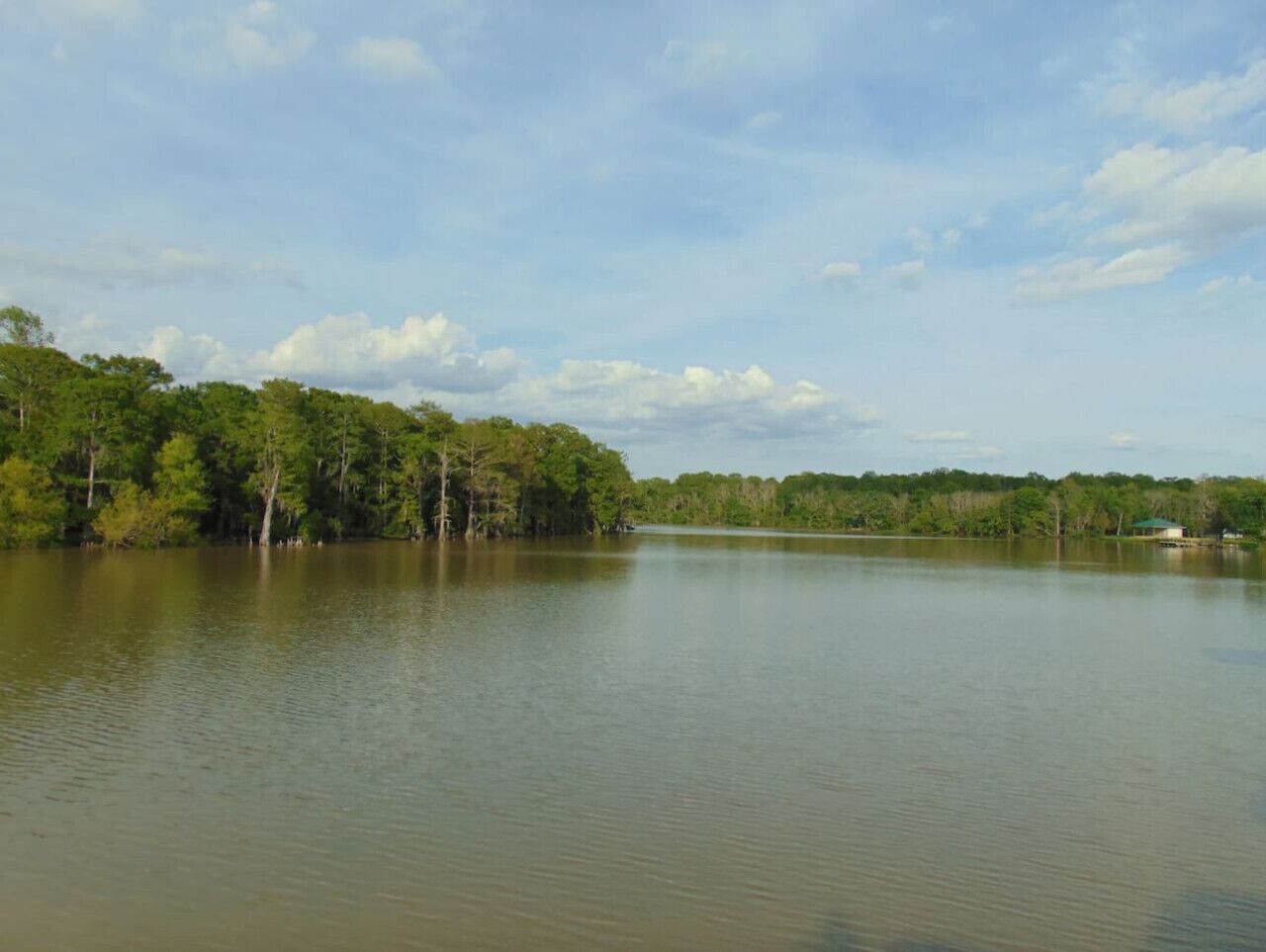 Um lago tranquilo rodeado por árvores densas e um céu limpo.