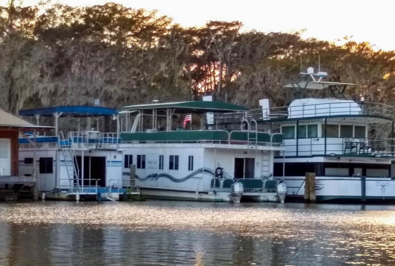 A ferry with a green roof and white exterior, docked at a pier with a forested background.