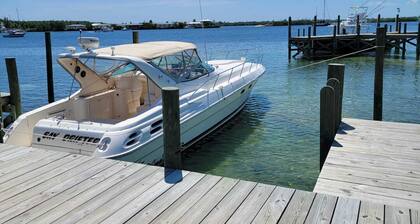 Indigo House with private pool, dock slip, & house generator on Green Turtle Cay