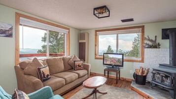 Smart TV, fireplace, books