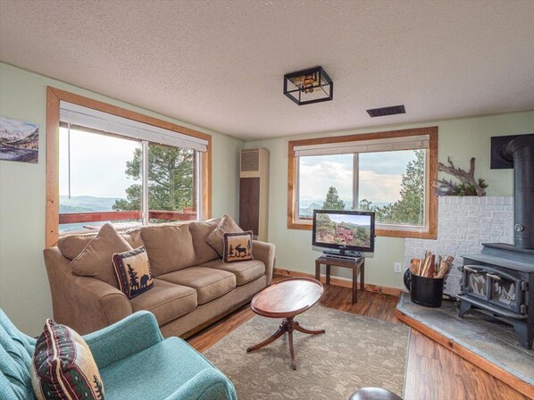 Smart TV, fireplace, books