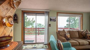 Smart TV, lareira, livros