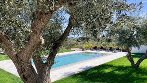 Zona junto a la piscina con vistas despejadas, rodeada de olivos y un césped cuidado.
