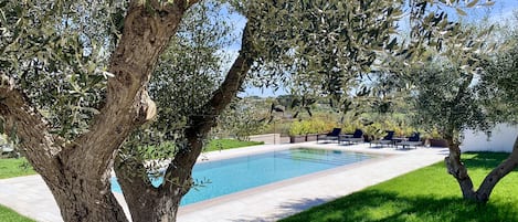 Seasonal outdoor pool, pool umbrellas, pool loungers