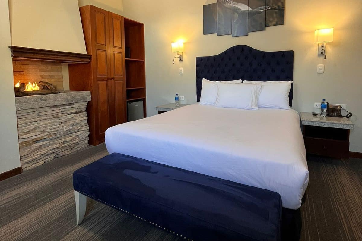 Superior Double Room, Ensuite, Garden View