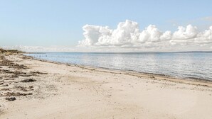 Ein Strand mit blauem Himmel und ruhiger See.