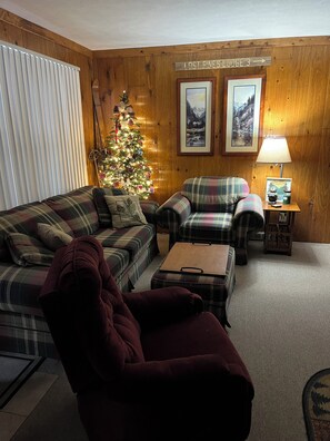 Smart TV, fireplace, video games, DVD player