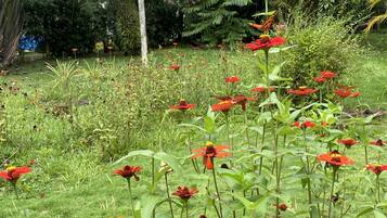 DĂ©tail de lâextĂ©rieur