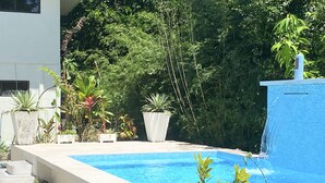 Una piscina rectangular con agua cristalina y azul, rodeada por una solana de concreto y diferentes macetas con plantas.