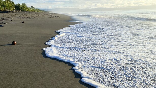 Una playa de arena oscura y olas suaves.