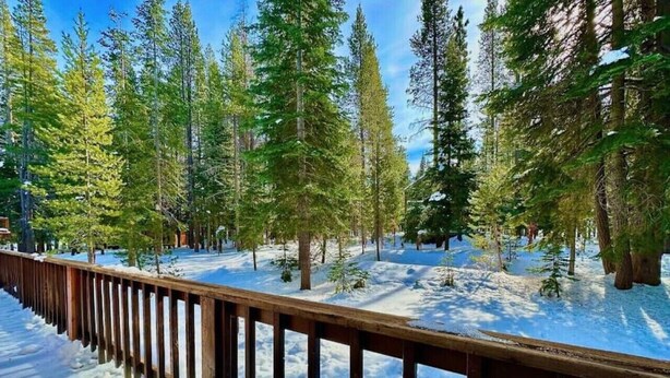 Una terraza de madera con suelo cubierto de nieve y altos árboles de hoja perenne.