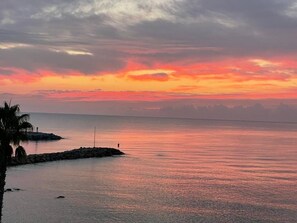 Miscellaneous - NEPITA- Feet in the water-sea view-climate-wi-fi (SOLENZARA)