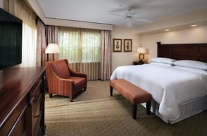 1 camera, una scrivania, ferro/asse da stiro, Wi-Fi