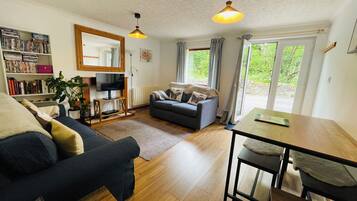 Smart TV, Netflix, books, streaming services