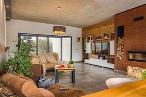 Télévision, cheminée