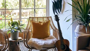 Un salon chaleureux avec une guitare, une grande fenêtre et une plante en pot.