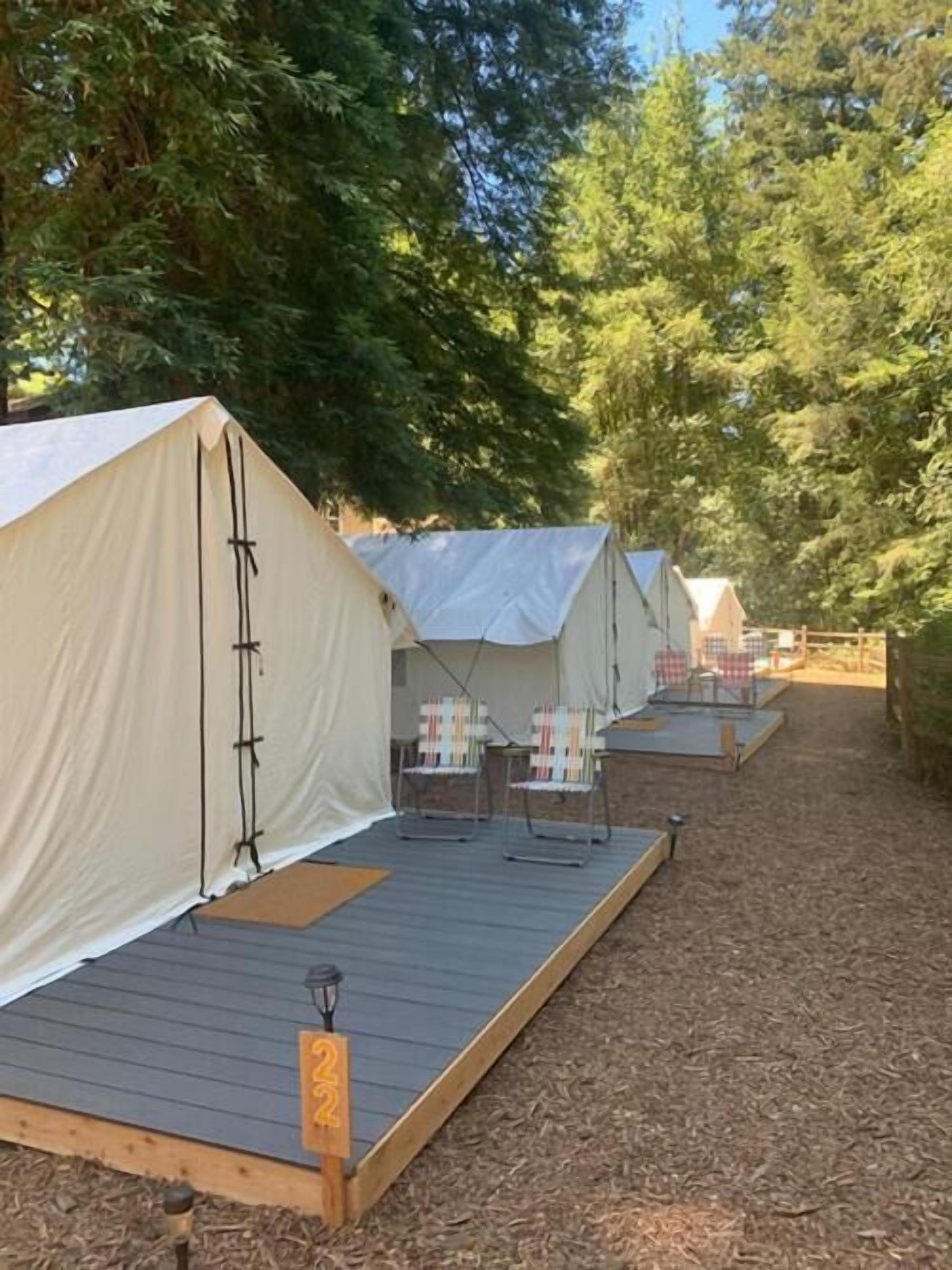 A row of tents with wooden decks and chairs, set in a wooded area.
