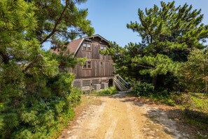 A rustic wooden cabin with a dirt path leading to it, surrounded by dense greenery.