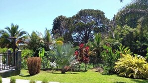 Een verzorgde tuin met verschillende tropische planten en een geplaveid pad.