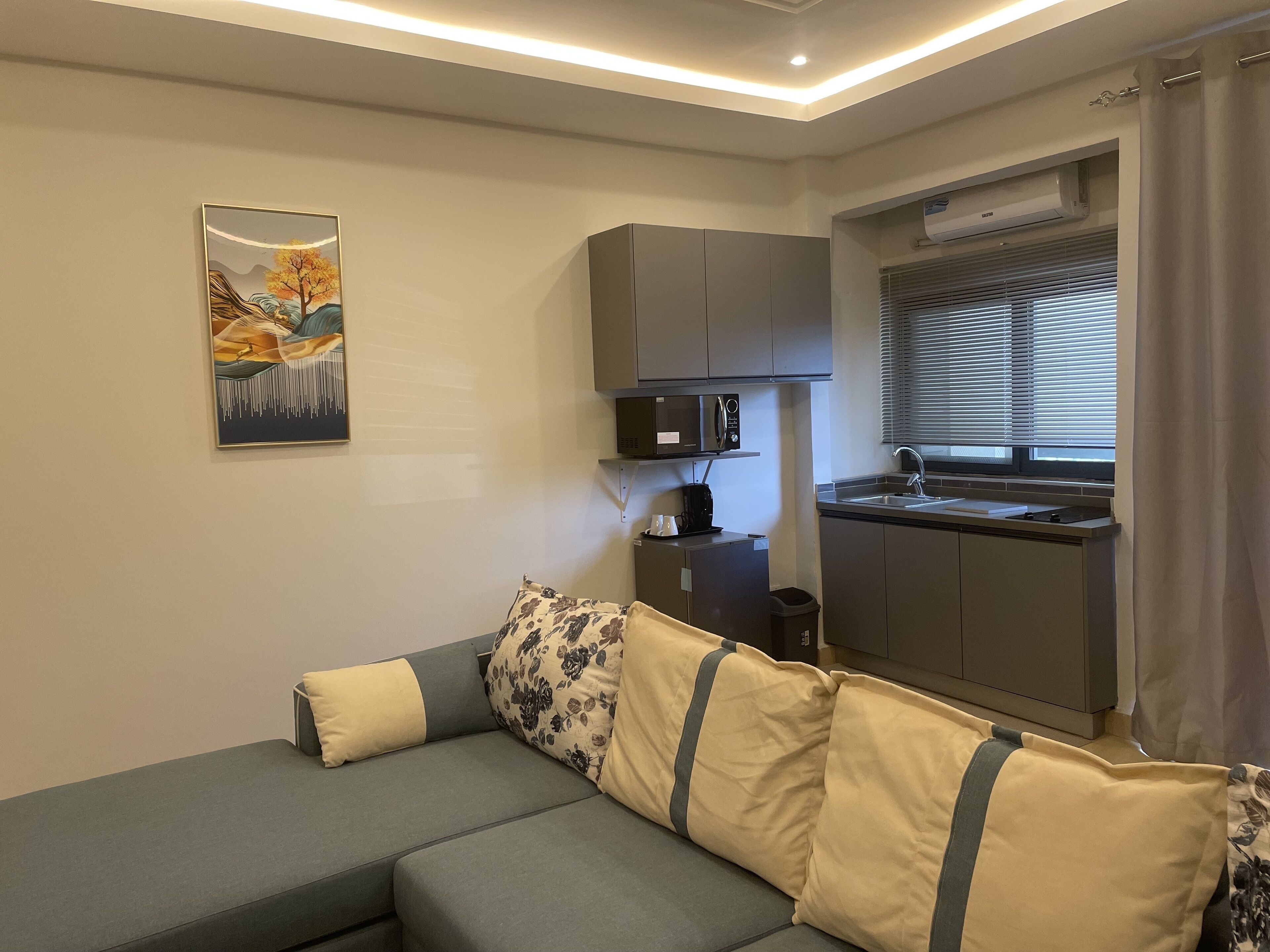 A compact living space with a sofa, a small kitchenette, and a painting on the wall.