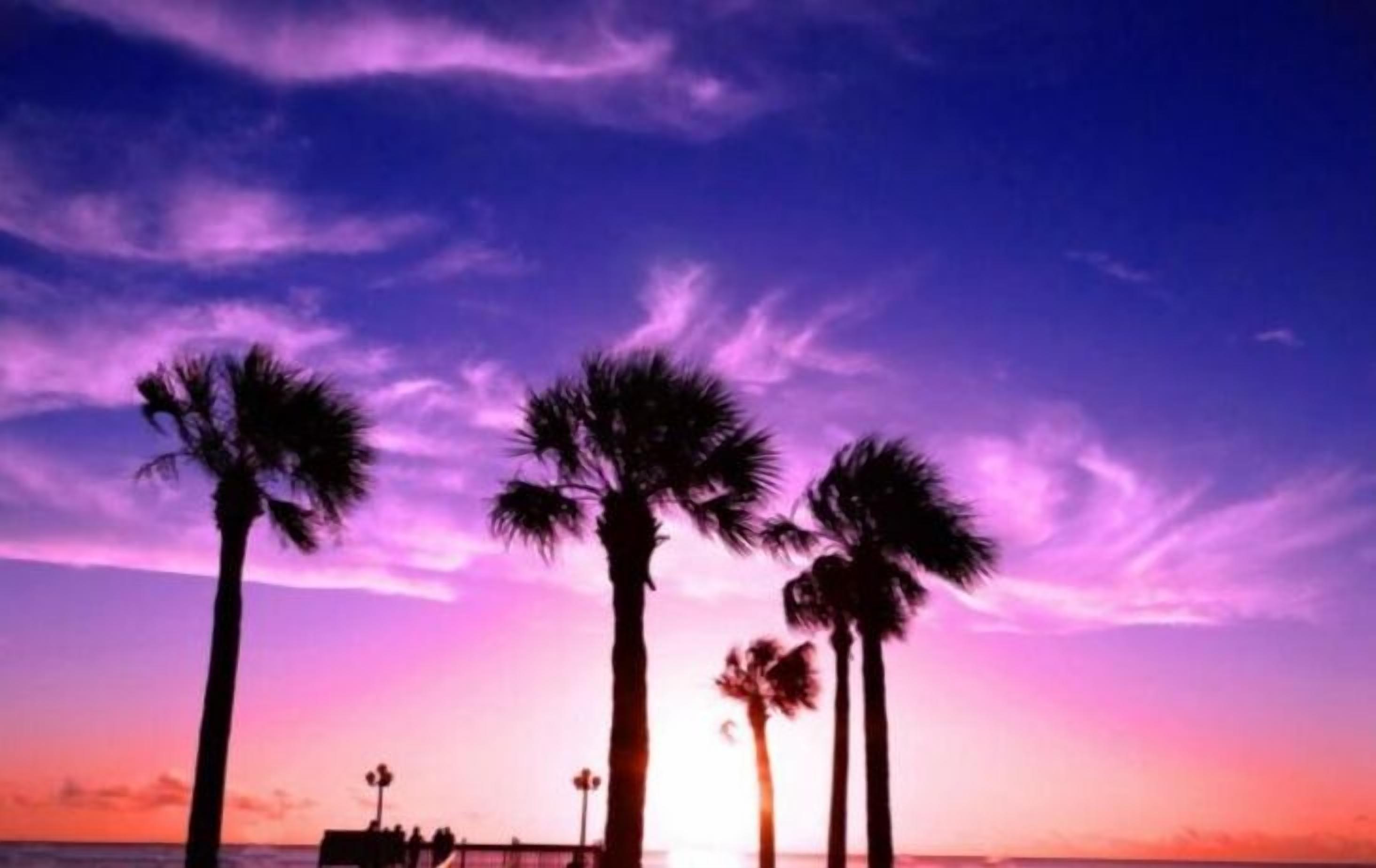 A sunset view with palm trees and a pier.