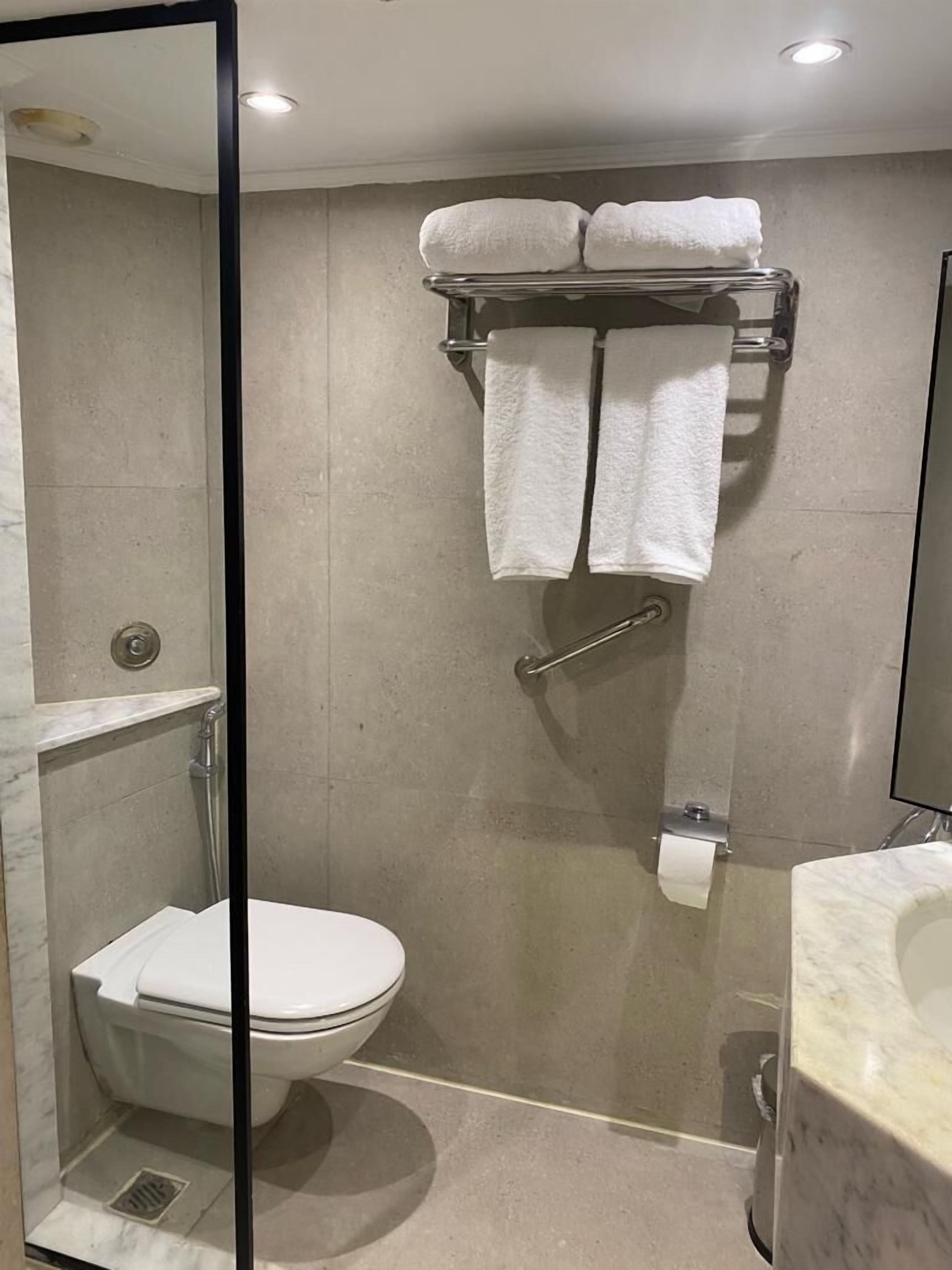 A modern bathroom with a toilet, shower, and a towel rack with two towels.