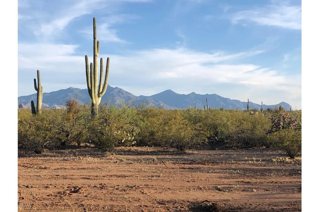 Escape away to a home where on a clear night you can gaze at the stars above.