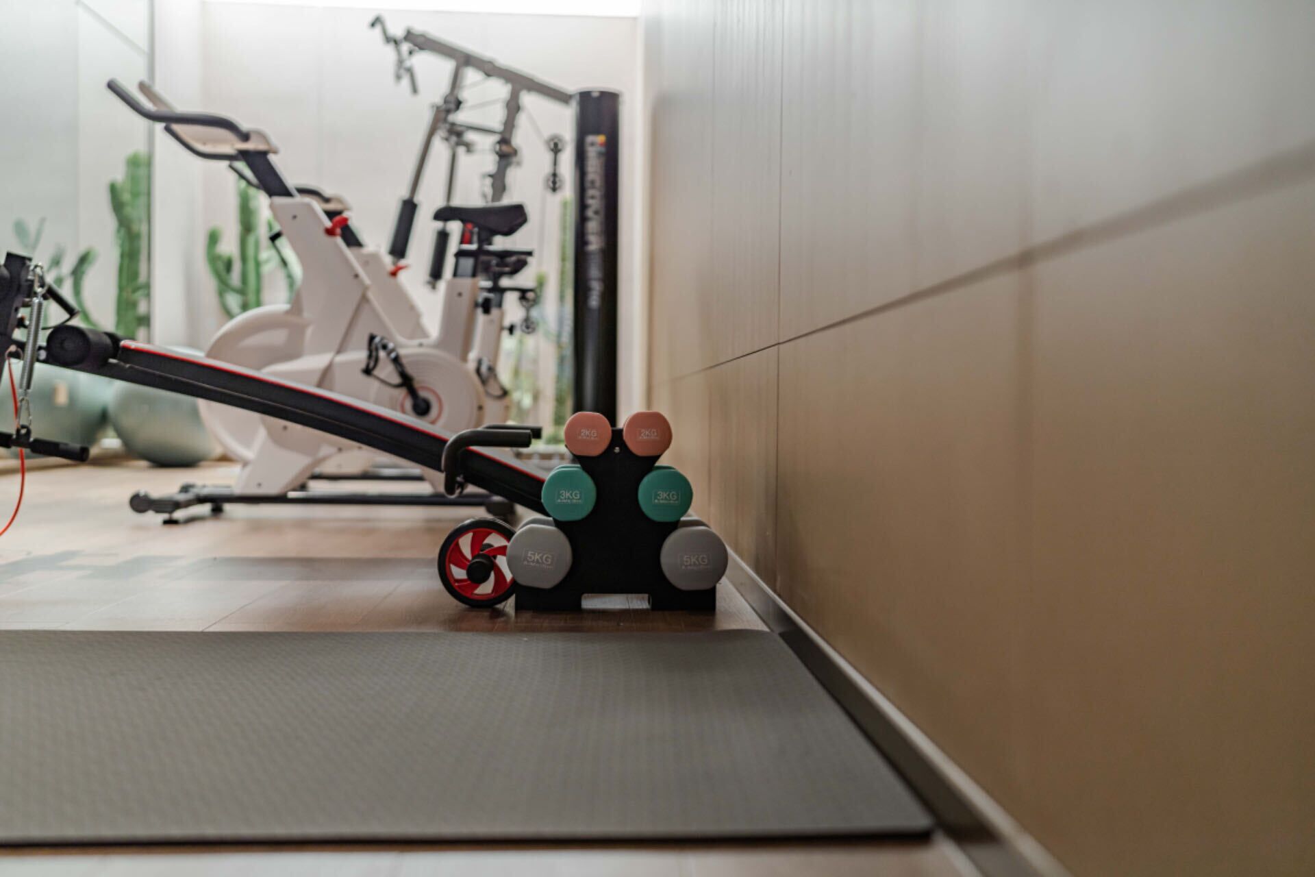 A gym with exercise equipment, including a stationary bike and weight plates.