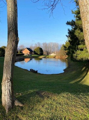 Property grounds - The Kutir - Entire Cottage - 6 Privacy Acres in Meaford - 5 Mins to Georgian Bay (Annan)