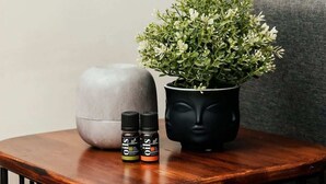 A small wooden table with a potted plant, two bottles of essential oils, and a stone sculpture. - Studio 112 - Stay in Style, Stay Central (Ensenada)