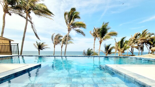 A clear blue pool with tiled edges, surrounded by palm trees and a view of the ocean.