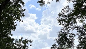 Un área de comedor al aire libre con vistas a una piscina y un paisaje cubierto de césped.