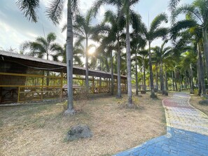 บริเวณที่พัก