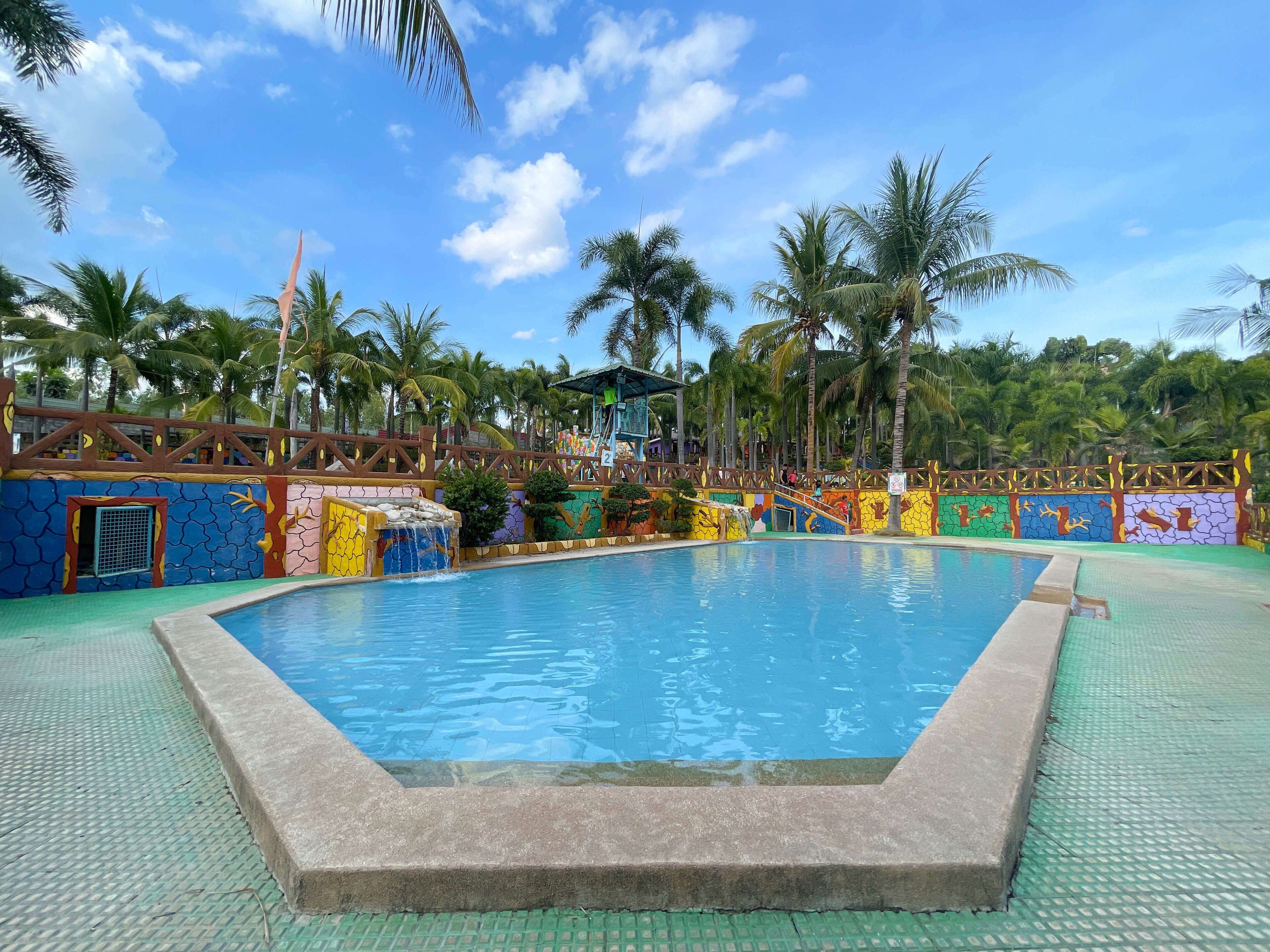 A swimming pool with a colorful mural on the surrounding walls, palm trees, and a clear blue sky.