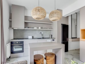 Fridge, oven, stovetop, cookware/dishes/utensils