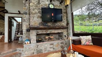 Ein Kamin aus Stein mit darüber montiertem Fernseher, eine Sitzecke mit Kissen und Blick ins Grüne.