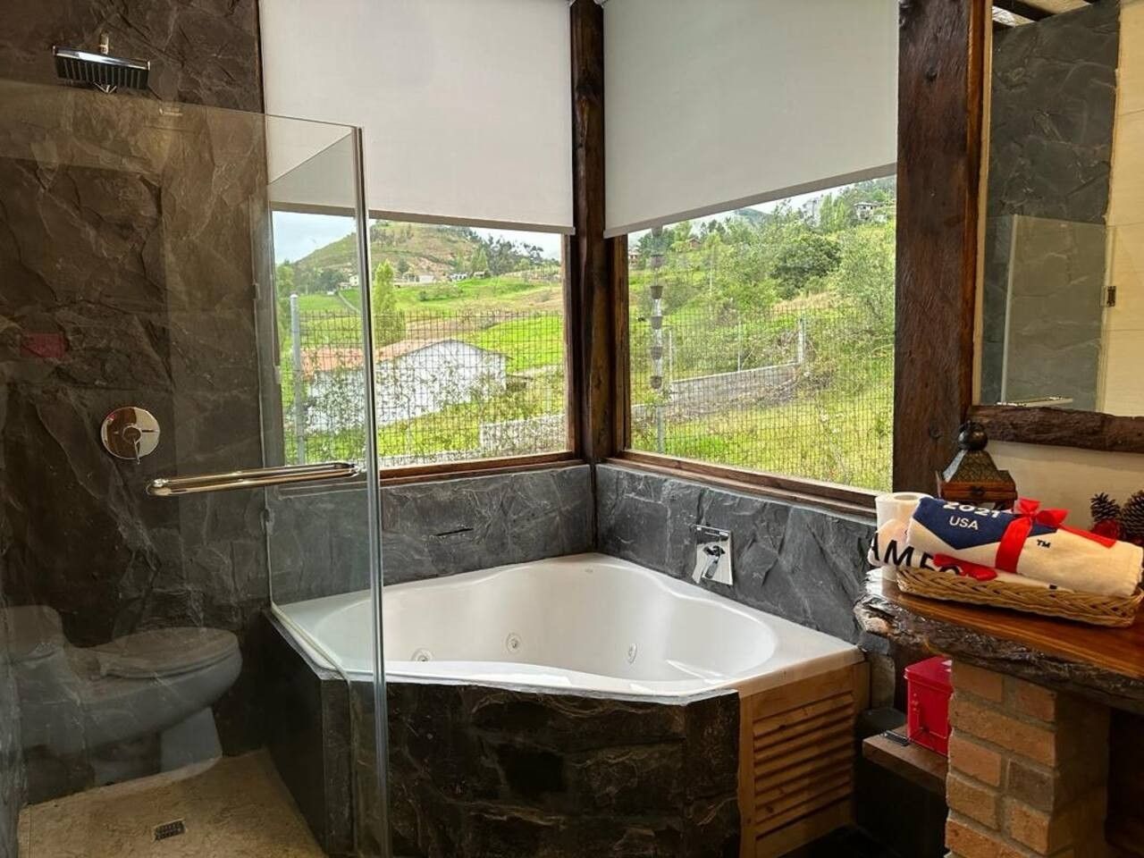Une salle de bain dotée d’une douche à parois de verre, d’une baignoire sur pieds et offrant une vue sur un paysage verdoyant par une fenêtre.