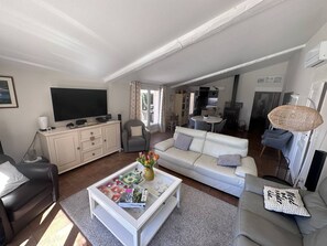 TV