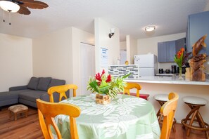 Interior - 3rd-floor downtown Hilo condo with great location near the bay, W/D, cable, & AC (Hilo)