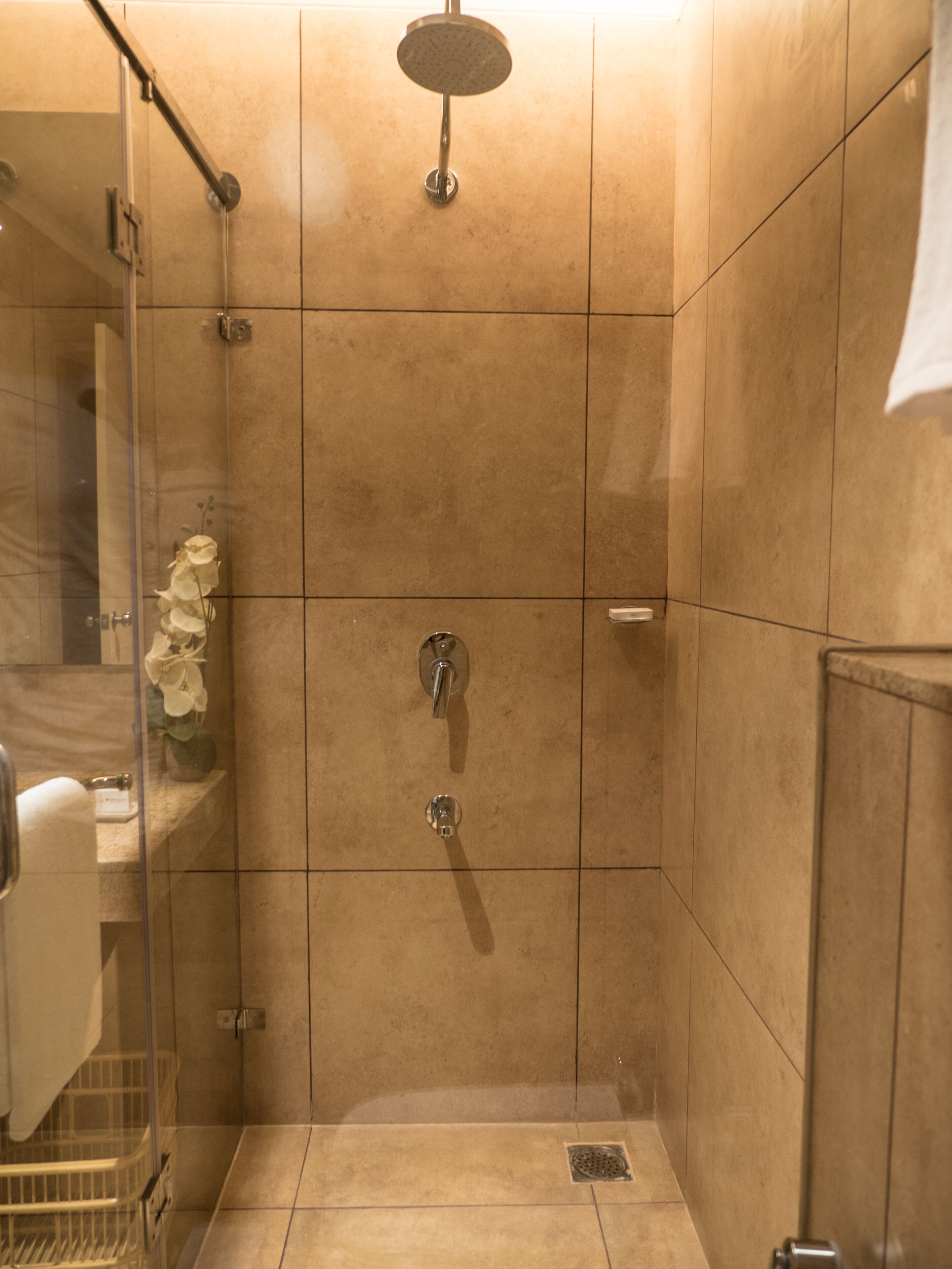 A shower with a handheld showerhead, a glass door, and a small shelf with a potted plant.