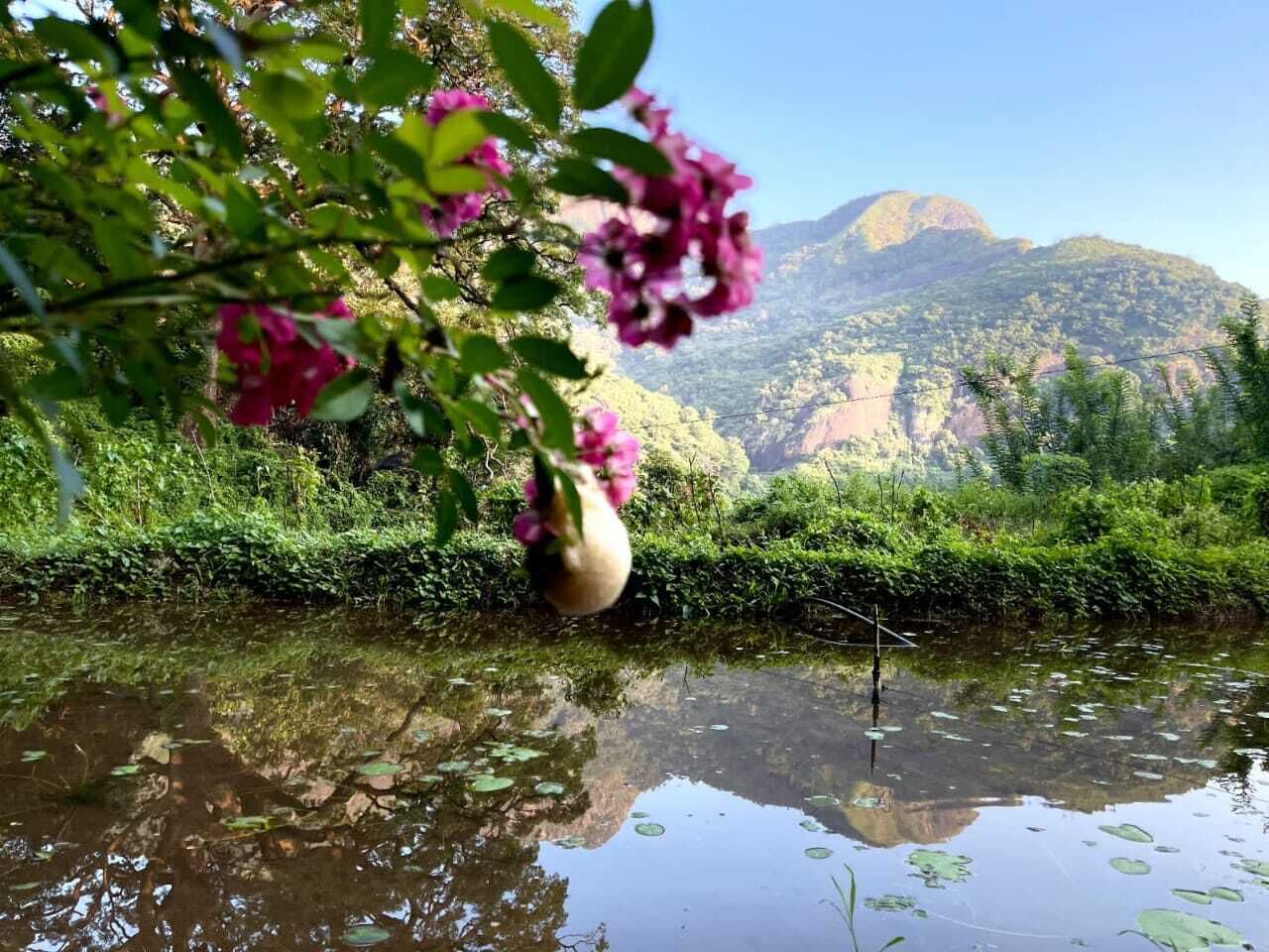 Área da propriedade