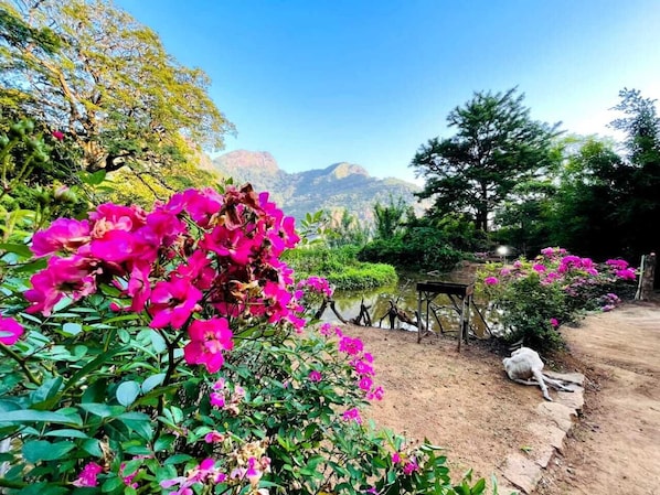 Enceinte de l’hébergement