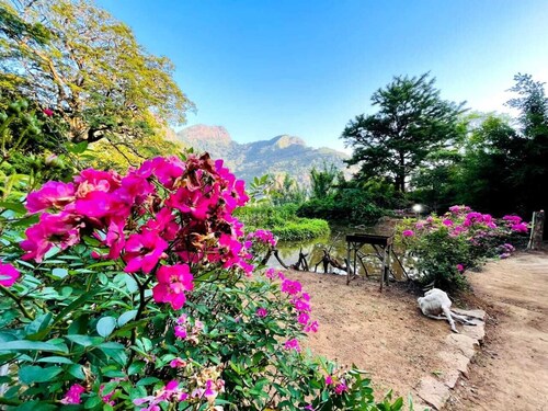 welcome to meemure adventure park