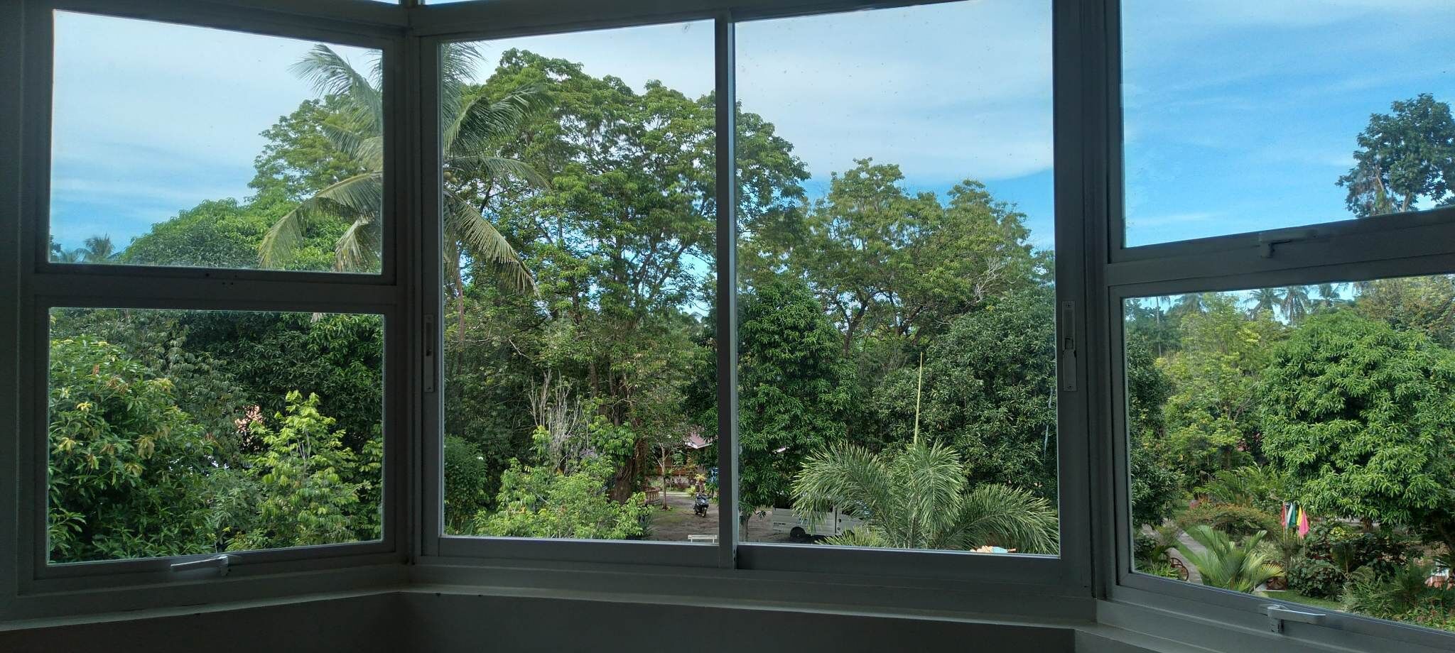 A room with large windows offering a view of dense tropical foliage and a clear sky.