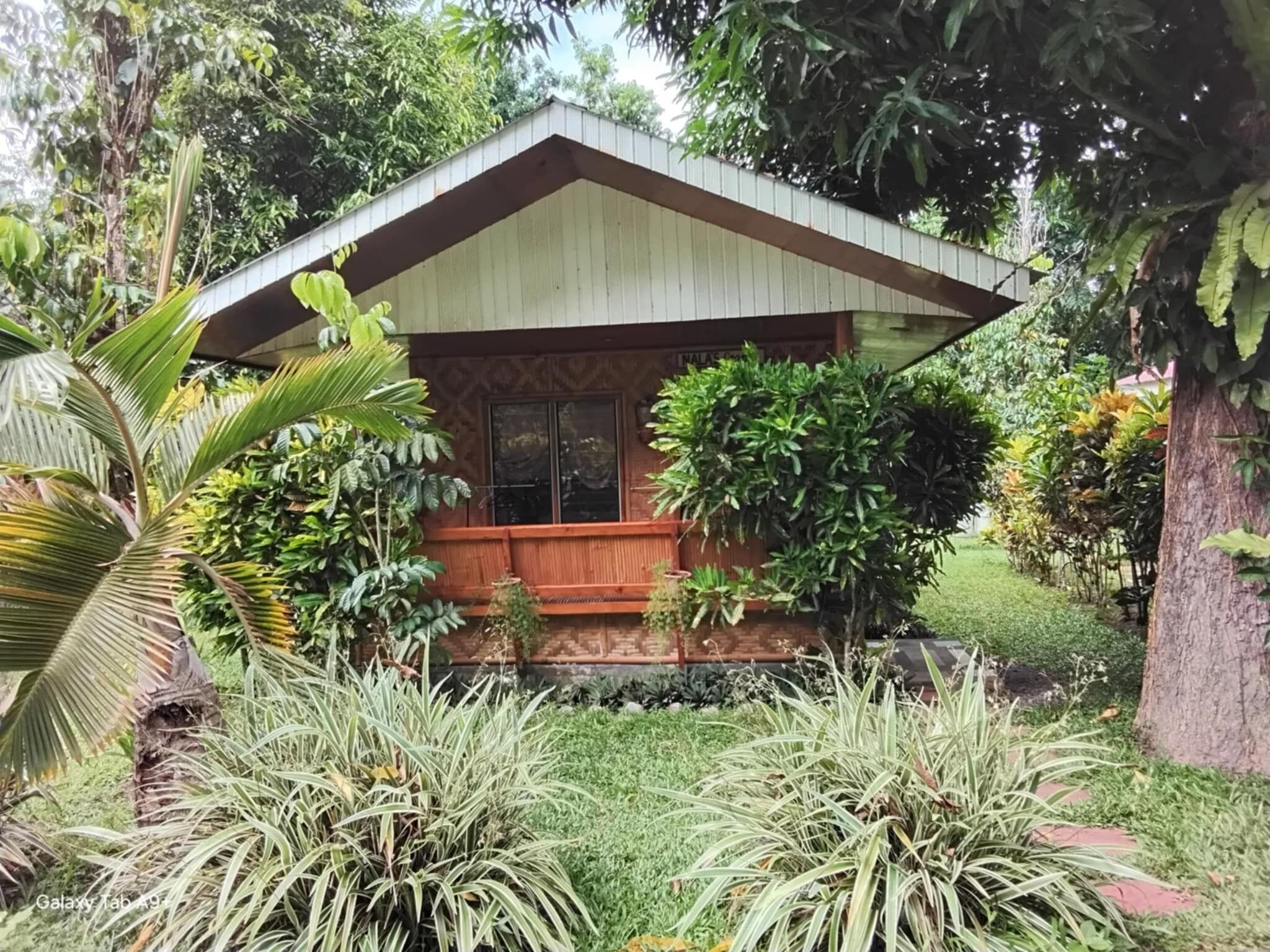 A small, single-story building with a sloped roof, surrounded by lush greenery and various plants.