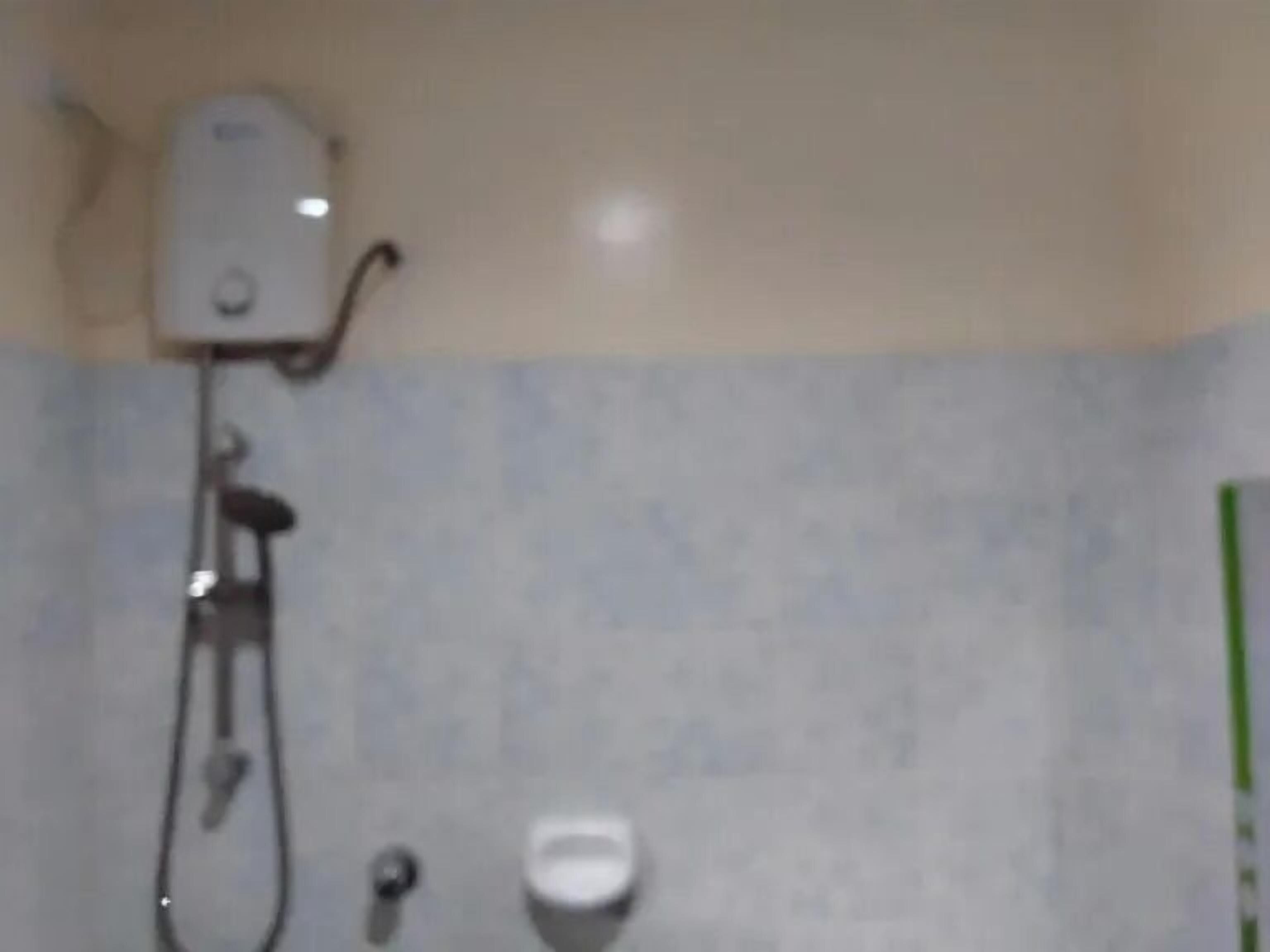 A bathroom with a shower, a toilet, and a soap dispenser.