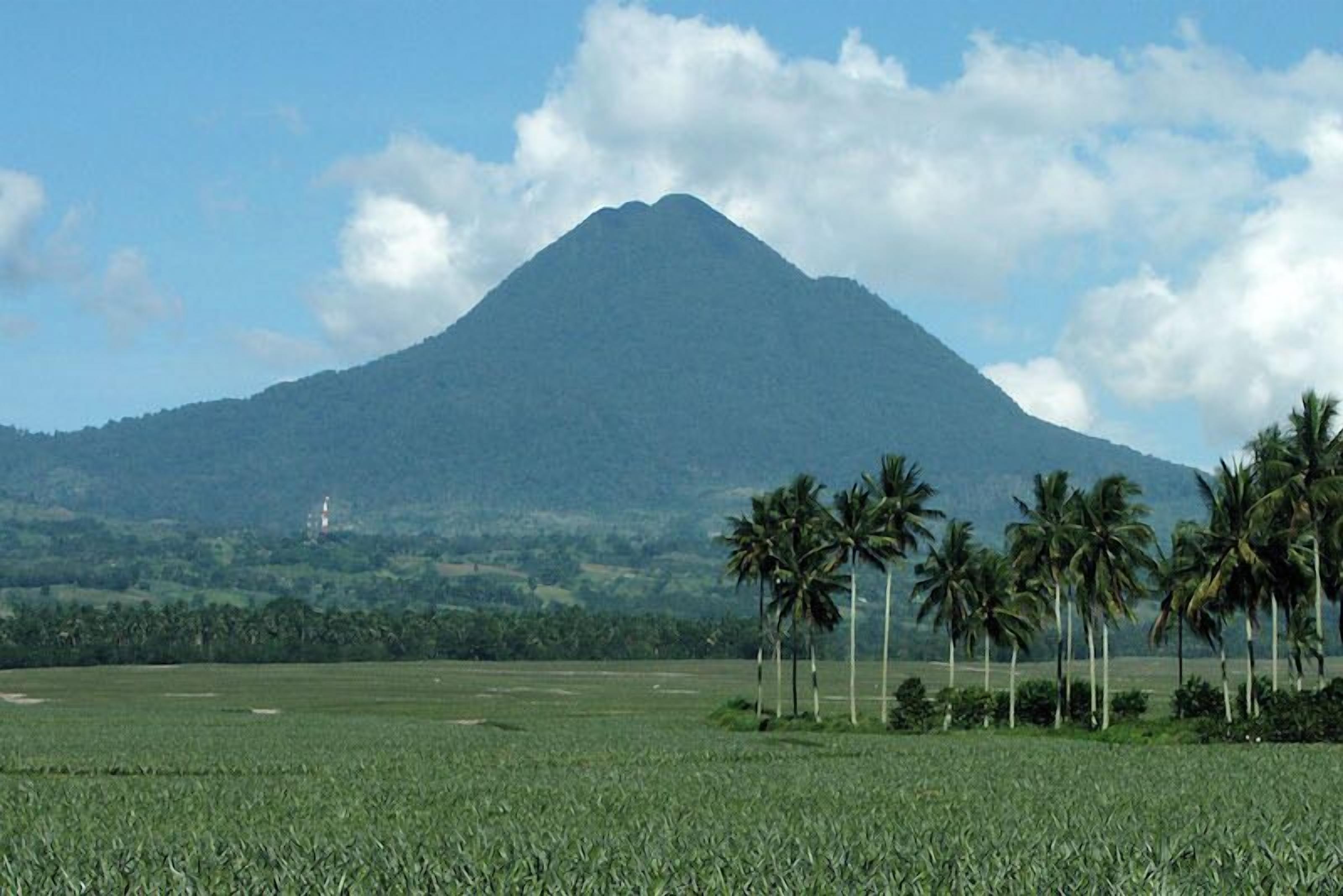 Ein Berg mit blauem Himmel, Palmen und einem Feld.